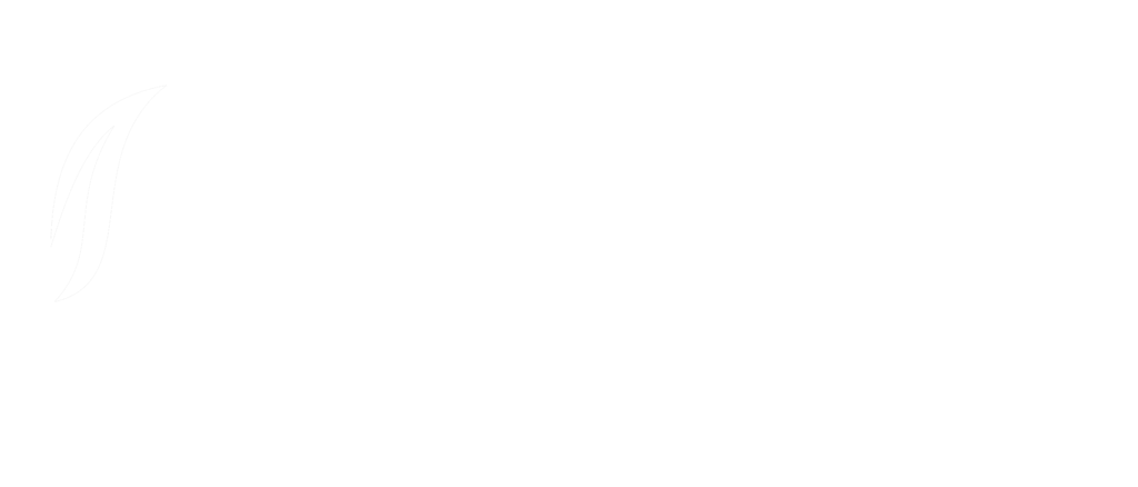 FMI White Logo