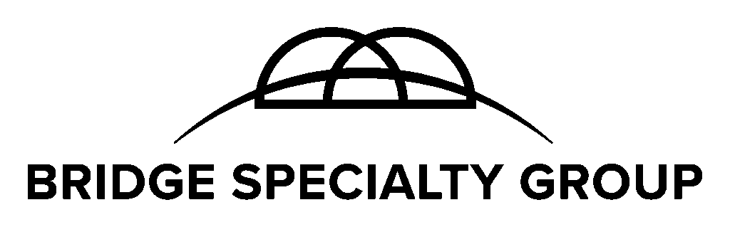 BSG Logo